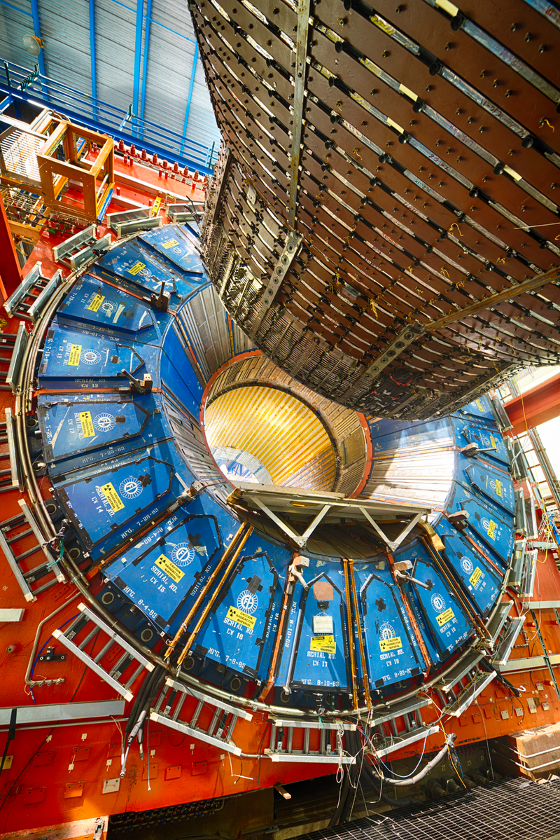 Illustration for article titled 27 Amazing Images From the Depths of Scientific Labs